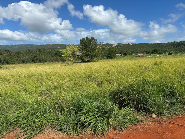 Third image of Flagaman, St. Elizabeth in Flagaman, St. Elizabeth, Jamaica - property is For Sale
