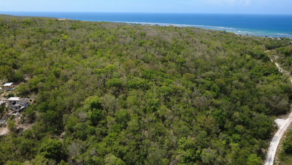 Tenth image of Falmouth, Litchfield & co in Falmouth, Trelawny, Jamaica - property is For Sale