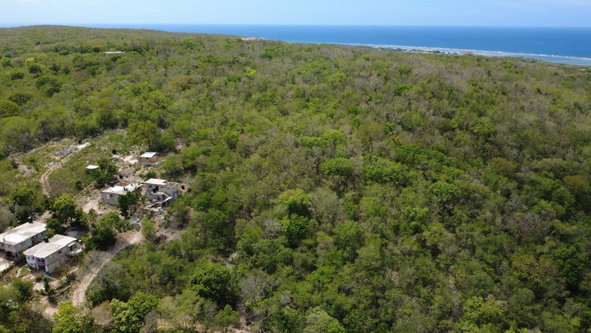 Eleventh image of Falmouth, Litchfield & co in Falmouth, Trelawny, Jamaica - property is For Sale