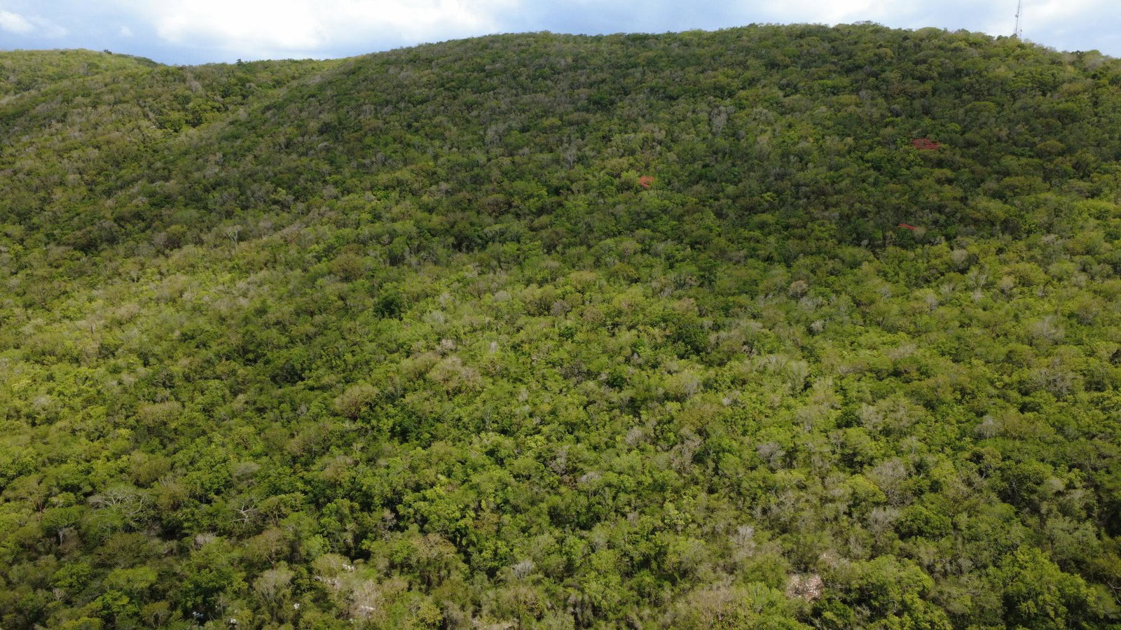 Eighteenth image of Falmouth, Litchfield & co in Falmouth, Trelawny, Jamaica - property is For Sale
