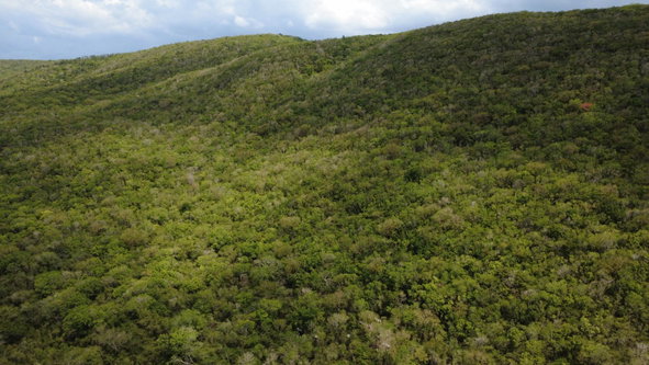 Nineteenth image of Falmouth, Litchfield & co in Falmouth, Trelawny, Jamaica - property is For Sale