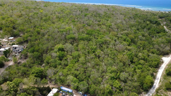 Twenty-Sixth image of Falmouth, Litchfield & co in Falmouth, Trelawny, Jamaica - property is For Sale