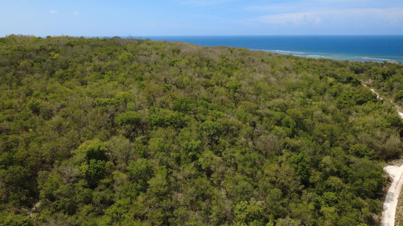 Fifth image of Falmouth, Litchfield & co in Falmouth, Trelawny, Jamaica - property is For Sale