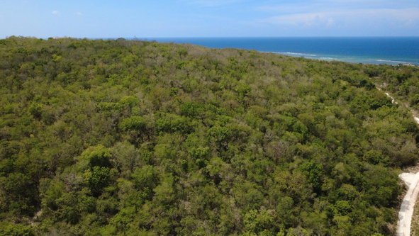 Fifth image of Falmouth, Litchfield & co in Falmouth, Trelawny, Jamaica - property is For Sale