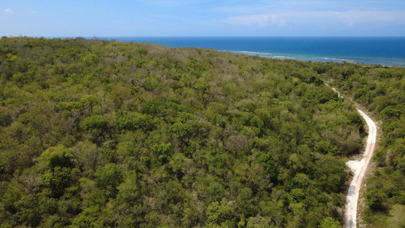 Sixth image of Falmouth, Litchfield & co in Falmouth, Trelawny, Jamaica - property is For Sale