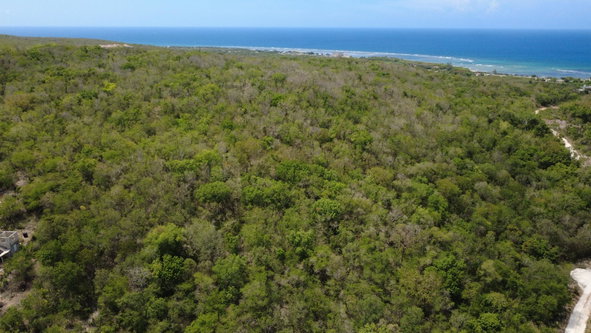 Ninth image of Falmouth, Litchfield & co in Falmouth, Trelawny, Jamaica - property is For Sale