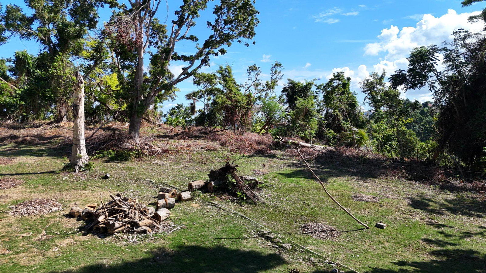 Twentieth image of Winders Hill Road in St. Ann's Bay, St. Ann, Jamaica - property is For Sale