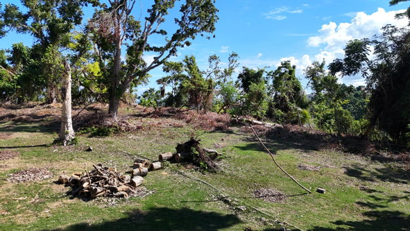 Twentieth image of Winders Hill Road in St. Ann's Bay, St. Ann, Jamaica - property is For Sale