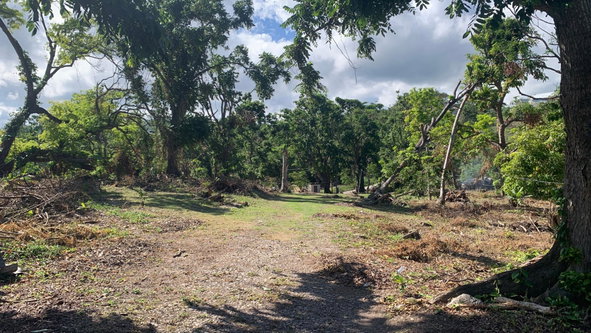 Twenty-First image of Winders Hill Road in St. Ann's Bay, St. Ann, Jamaica - property is For Sale