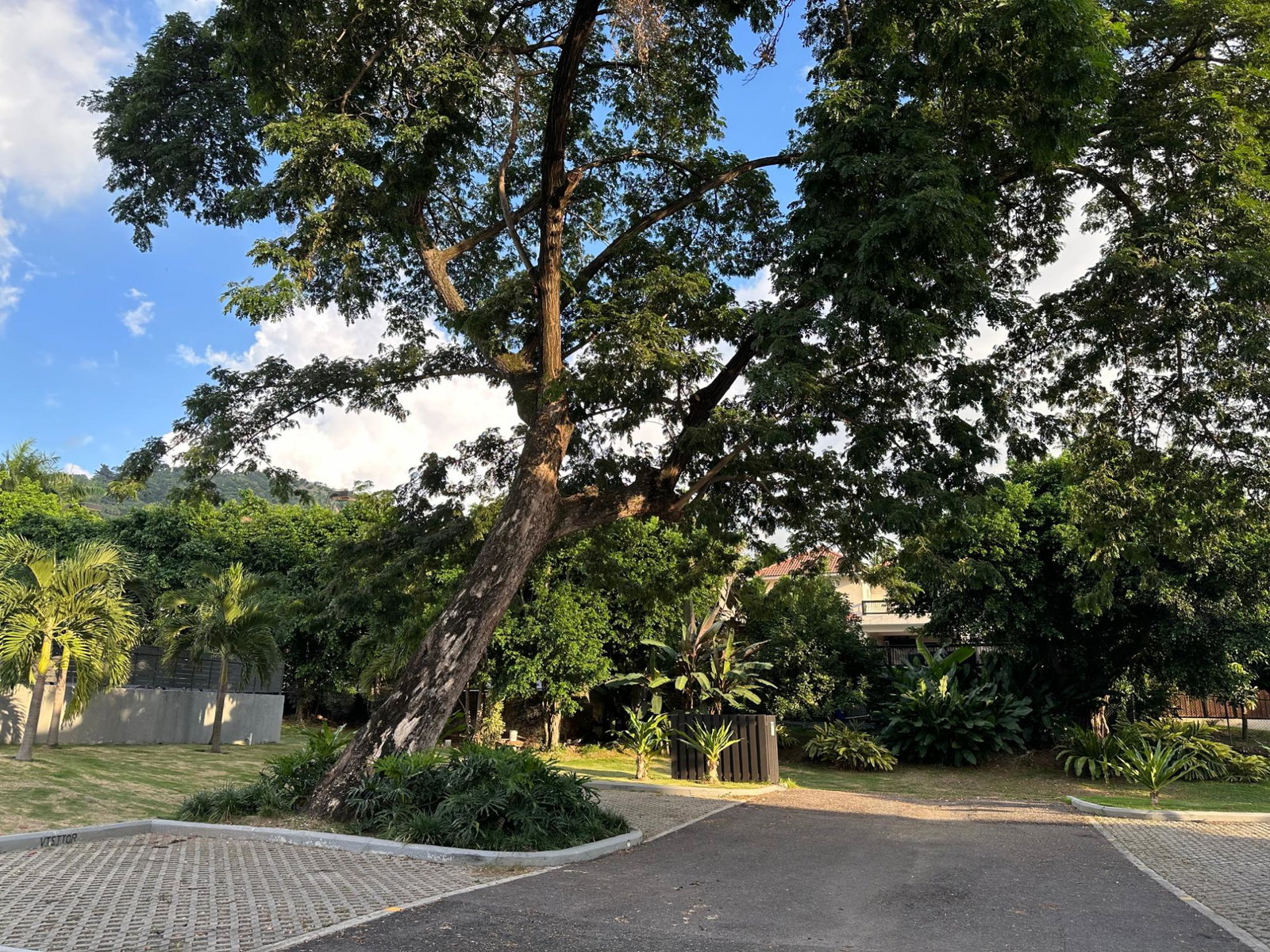 Twenty-Third image of 43b-16 Garden Close in Kingston 8, St. Andrew, Jamaica - property is For Sale
