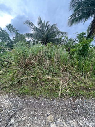 First image of 4 Free Hill Rd, Roslyn Pen in Free Hill, St. Mary, Jamaica - property is For Sale