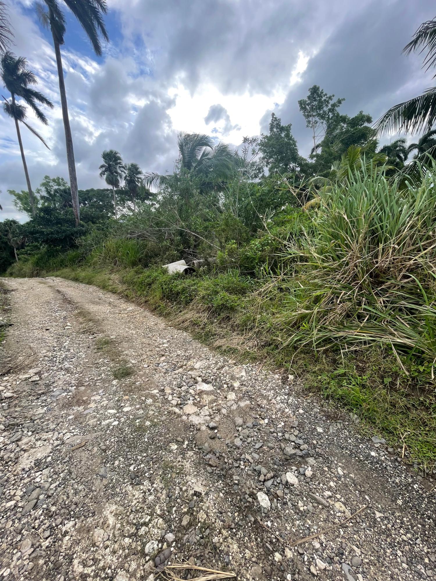 Second image of 4 Free Hill Rd, Roslyn Pen in Free Hill, St. Mary, Jamaica - property is For Sale