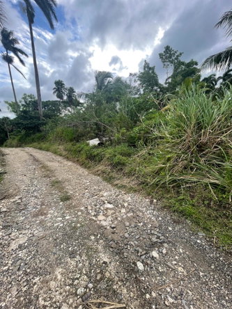 Second image of 4 Free Hill Rd, Roslyn Pen in Free Hill, St. Mary, Jamaica - property is For Sale
