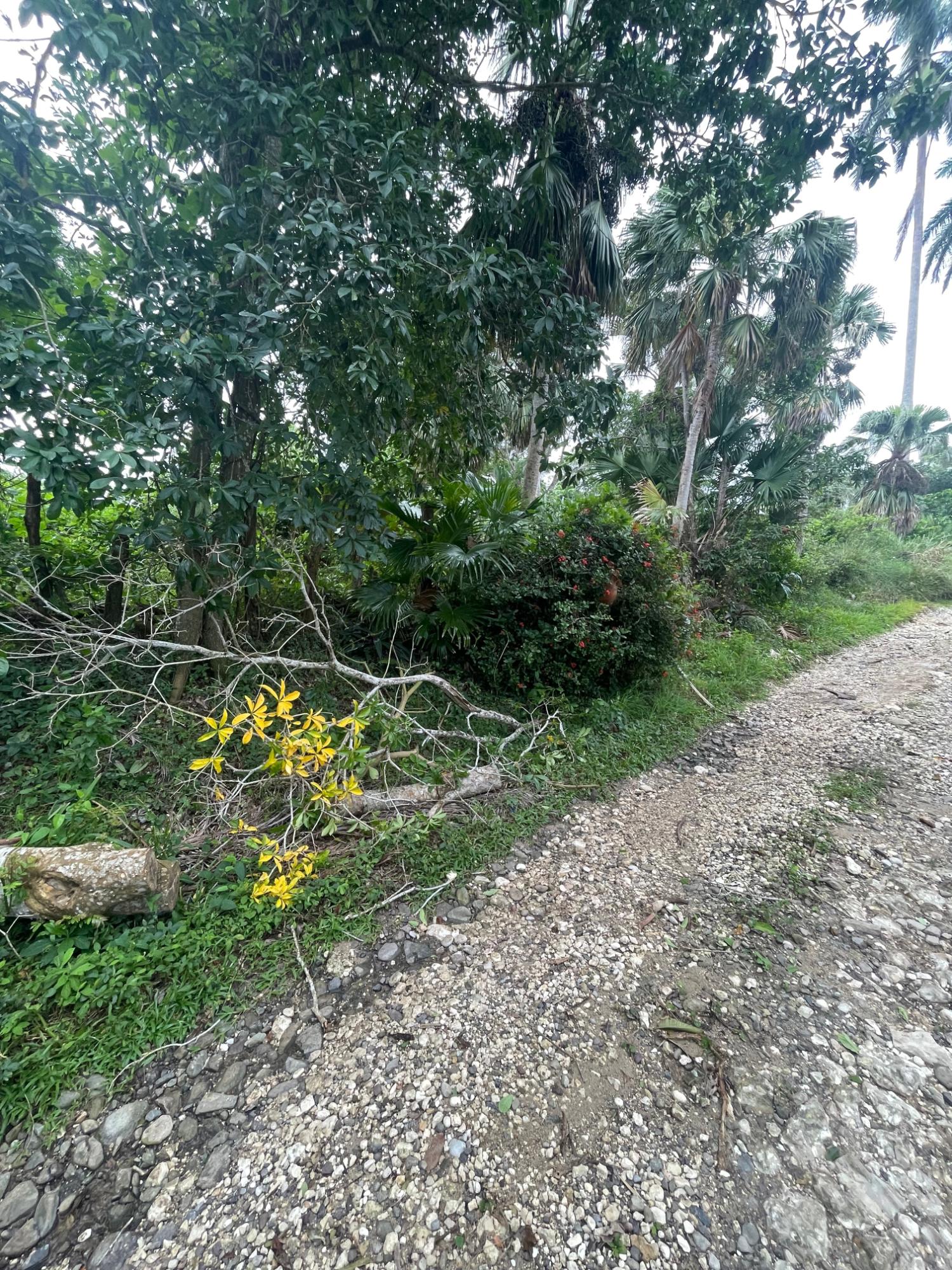 Third image of 4 Free Hill Rd, Roslyn Pen in Free Hill, St. Mary, Jamaica - property is For Sale