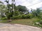 First image of 5 Free Hill Rd, Roslyn Pen in Free Hill, St. Mary, Jamaica - property is For Sale