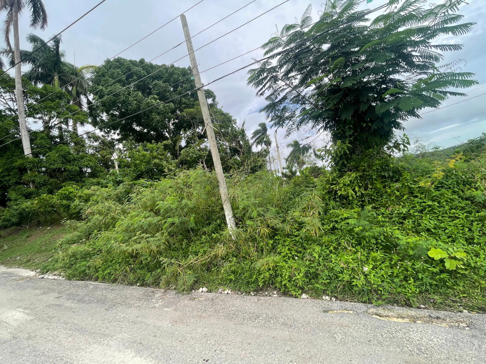Third image of 5 Free Hill Rd, Roslyn Pen in Free Hill, St. Mary, Jamaica - property is For Sale