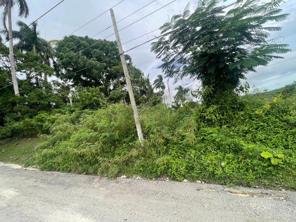 Third image of 5 Free Hill Rd, Roslyn Pen in Free Hill, St. Mary, Jamaica - property is For Sale