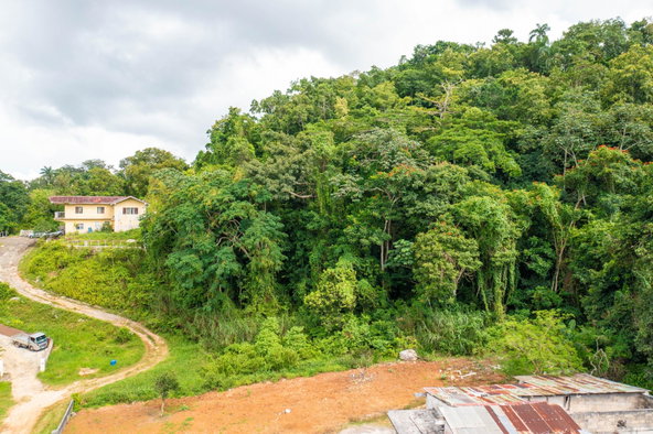 Second image of Bloomfield Street in Mandeville, Manchester, Jamaica - property is For Sale