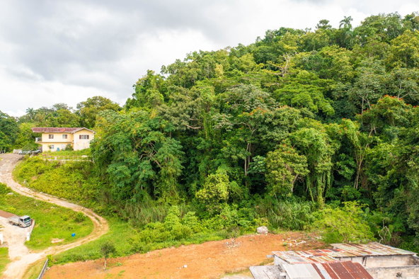Third image of Bloomfield Street in Mandeville, Manchester, Jamaica - property is For Sale