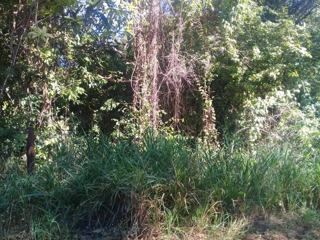 First image of Moxham Mountain in Spanish Town, St. Catherine, Jamaica - property is For Sale