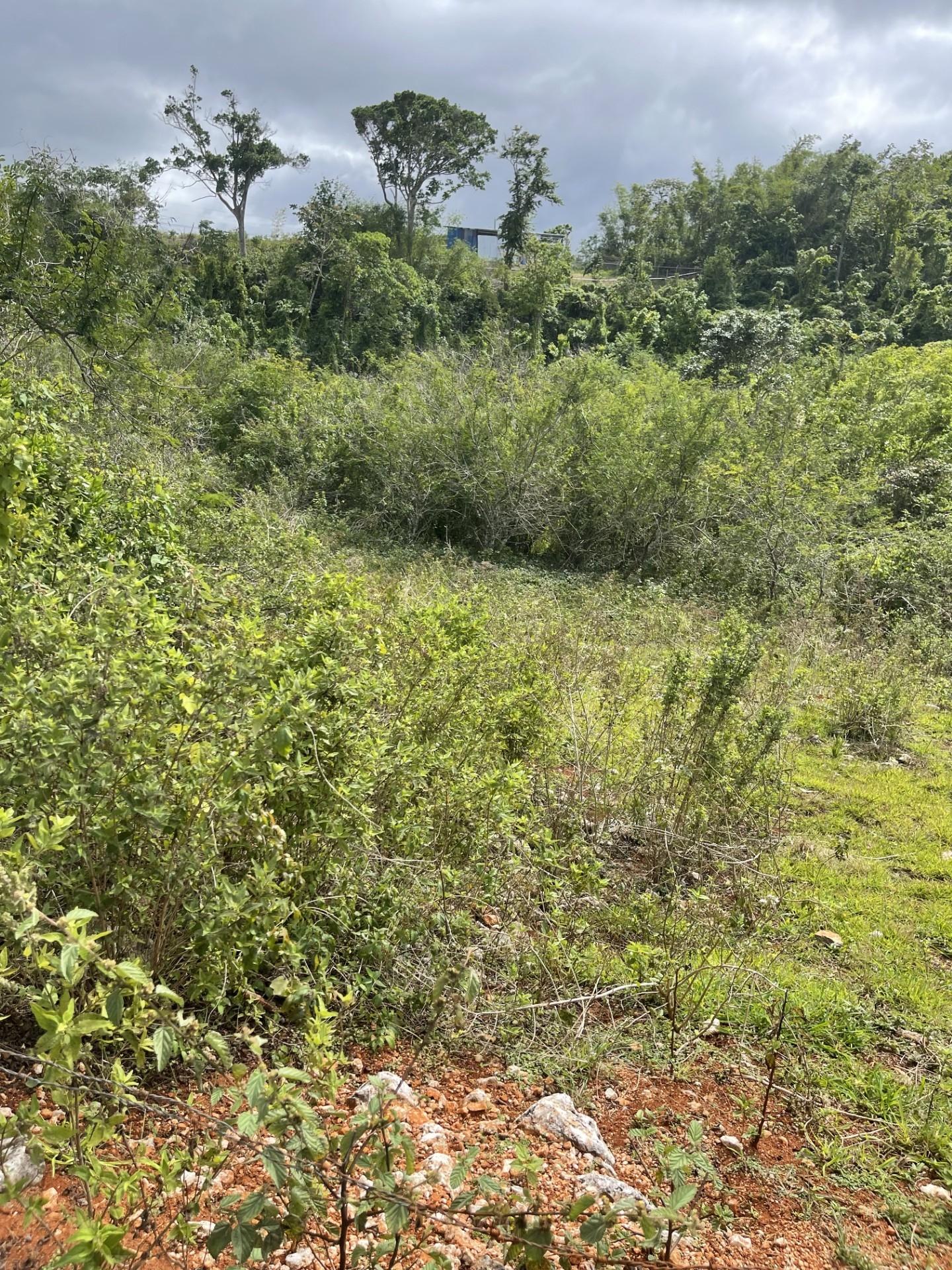 Fifth image of 63a Sunset Avenue in Knockpatrick, Manchester, Jamaica - property is For Sale