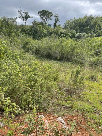 Fifth image of 63a Sunset Avenue in Knockpatrick, Manchester, Jamaica - property is For Sale
