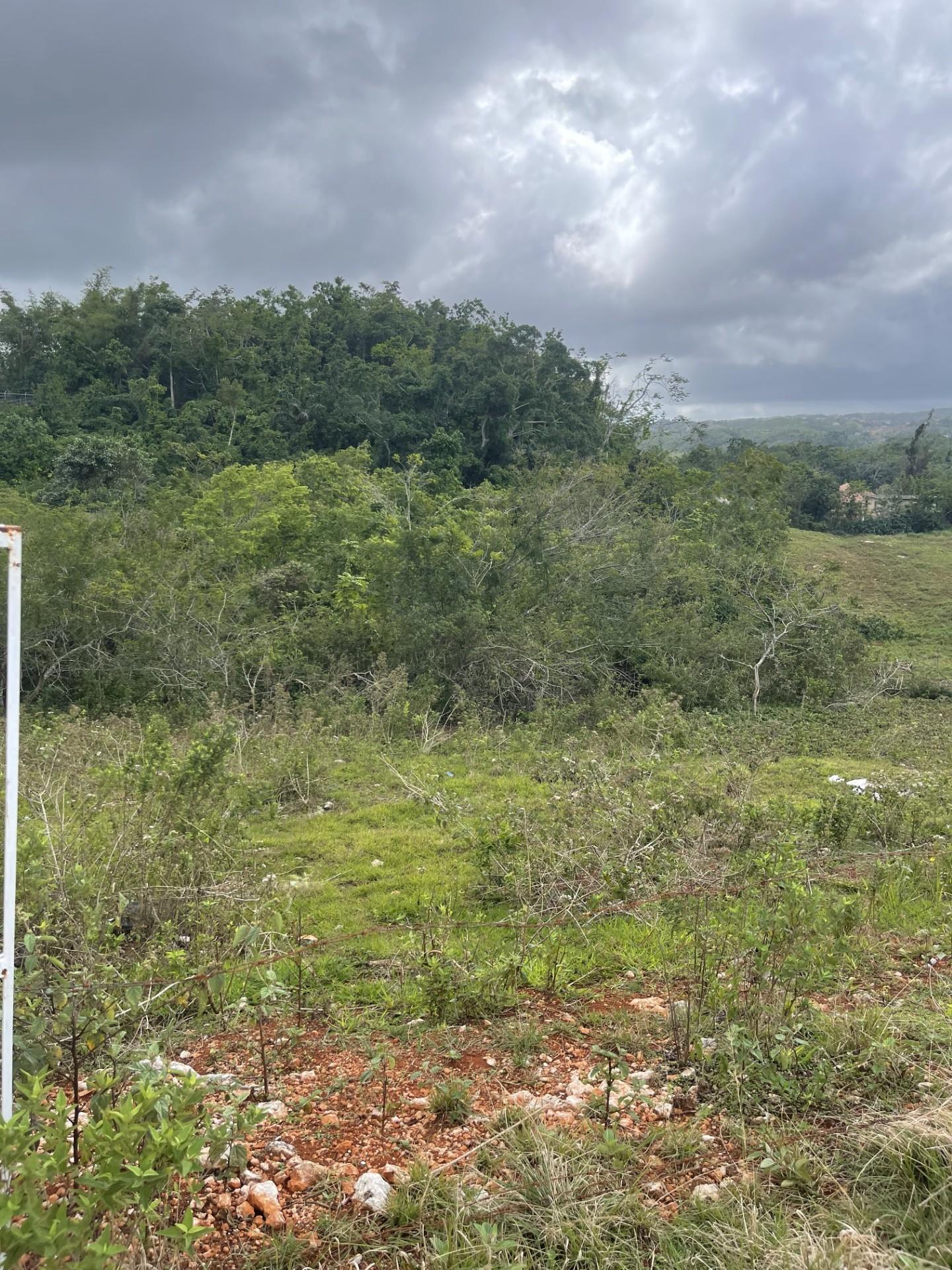 Sixth image of 63a Sunset Avenue in Knockpatrick, Manchester, Jamaica - property is For Sale