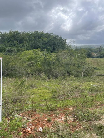 Sixth image of 63a Sunset Avenue in Knockpatrick, Manchester, Jamaica - property is For Sale