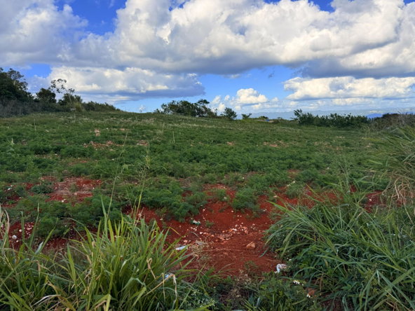 Third image of Lot-4 Potsdam, st Elizabeth in Munroe College, St. Elizabeth, Jamaica - property is For Sale