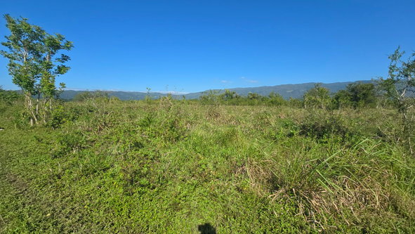 Tenth image of Elim, St. Elizabeth in Elim, St. Elizabeth, Jamaica - property is For Sale