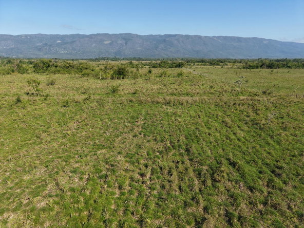 Seventeenth image of Elim, St. Elizabeth in Elim, St. Elizabeth, Jamaica - property is For Sale