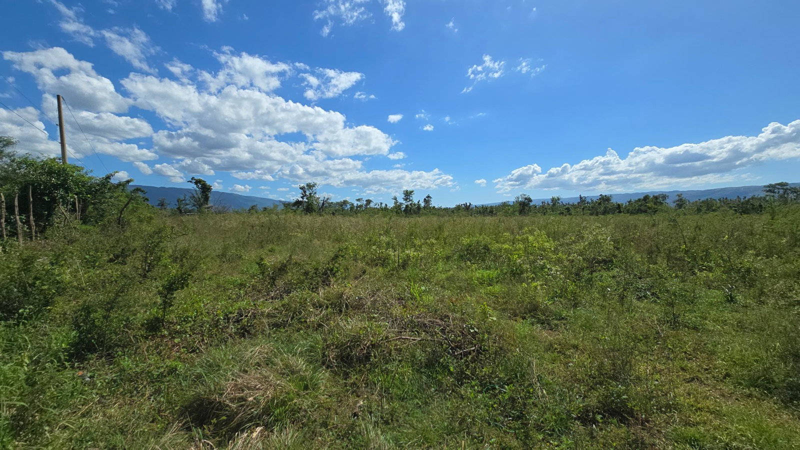 Seventh image of Elim, St. Elizabeth in Elim, St. Elizabeth, Jamaica - property is For Sale