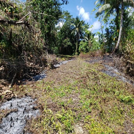 Third image of Lot 79- Reach Falls, Portland in Manchioneal, Portland, Jamaica - property is For Sale