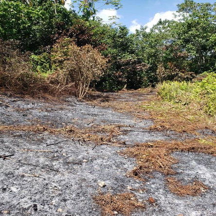 Fourth image of Lot 79- Reach Falls, Portland in Manchioneal, Portland, Jamaica - property is For Sale