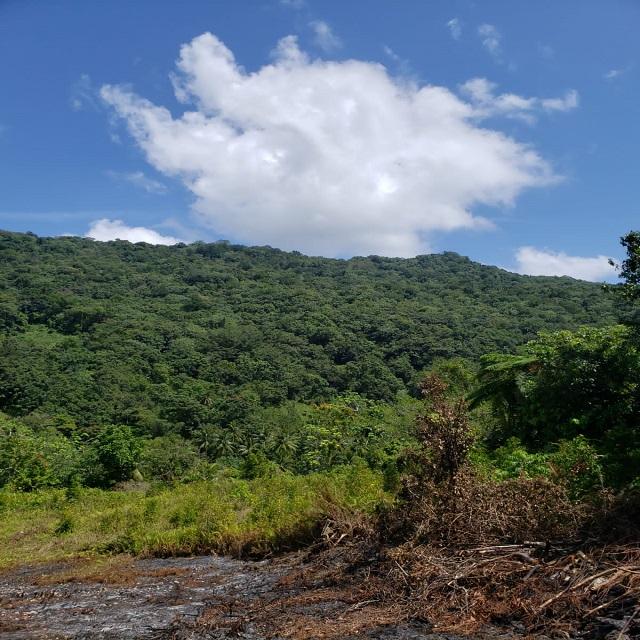 Sixth image of Lot 79- Reach Falls, Portland in Manchioneal, Portland, Jamaica - property is For Sale