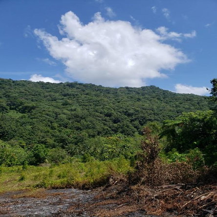 Sixth image of Lot 79- Reach Falls, Portland in Manchioneal, Portland, Jamaica - property is For Sale