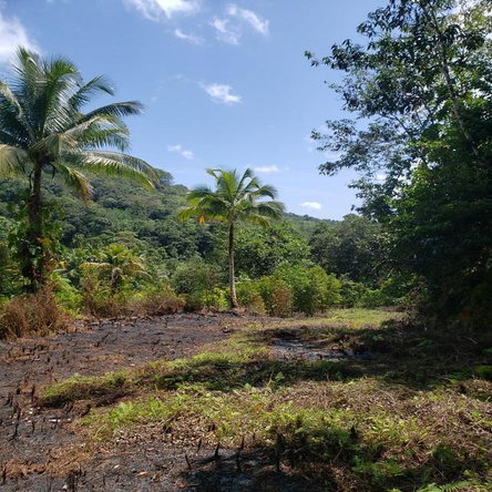 Seventh image of Lot 79- Reach Falls, Portland in Manchioneal, Portland, Jamaica - property is For Sale
