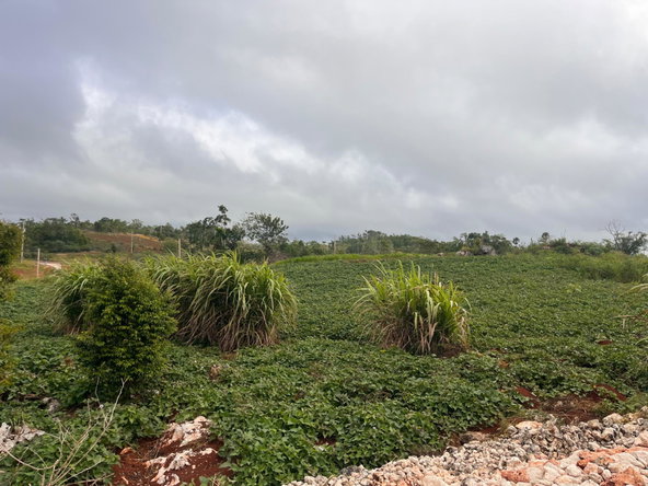 First image of Lot 20 Godden Grove, Manchester in Knockpatirck, Manchester, Jamaica - property is For Sale