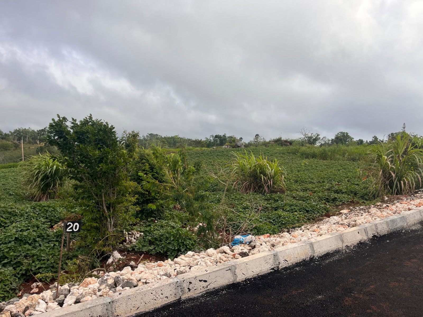 Third image of Lot 20 Godden Grove, Manchester in Knockpatirck, Manchester, Jamaica - property is For Sale