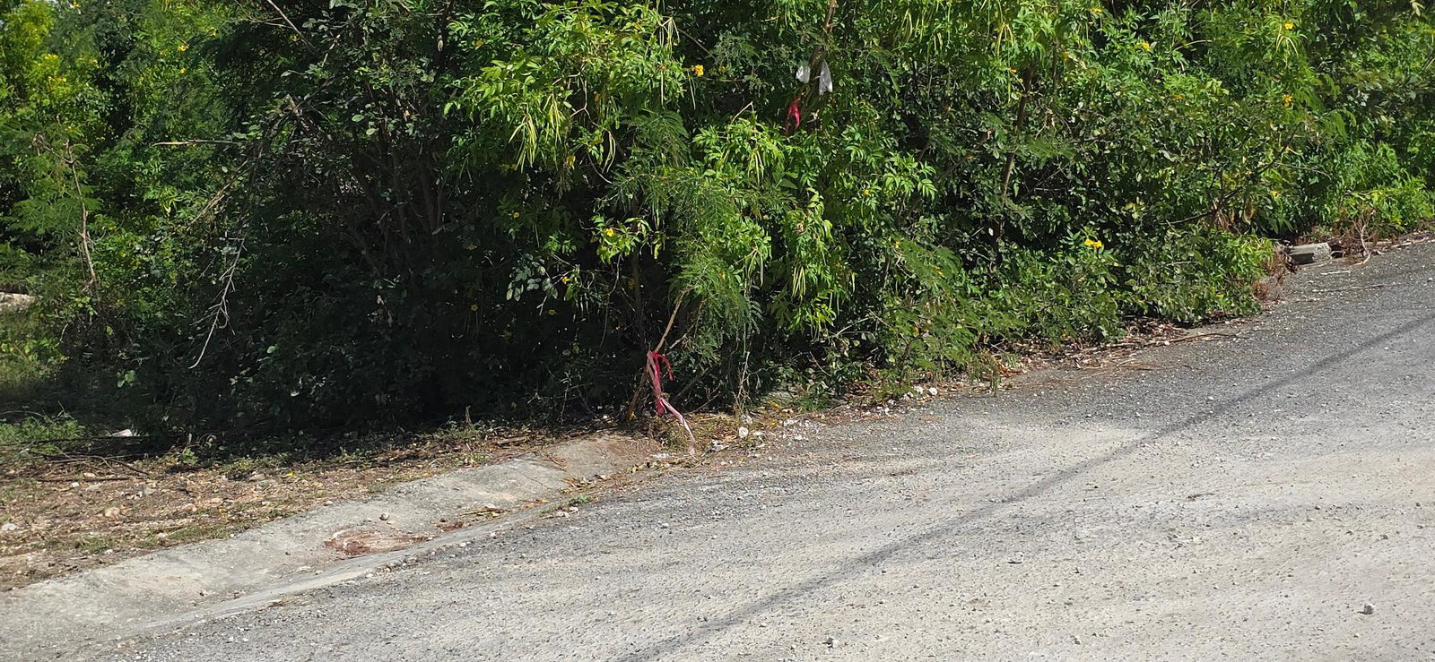 Fifth image of Lot 44 Mar Bella Estate in Bull Bay, St. Thomas, Jamaica - property is For Sale