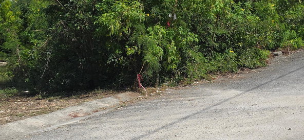Fifth image of Lot 44 Mar Bella Estate in Bull Bay, St. Thomas, Jamaica - property is For Sale