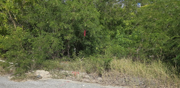 Sixth image of Lot 44 Mar Bella Estate in Bull Bay, St. Thomas, Jamaica - property is For Sale