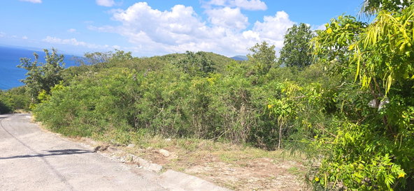 Seventh image of Lot 44 Mar Bella Estate in Bull Bay, St. Thomas, Jamaica - property is For Sale