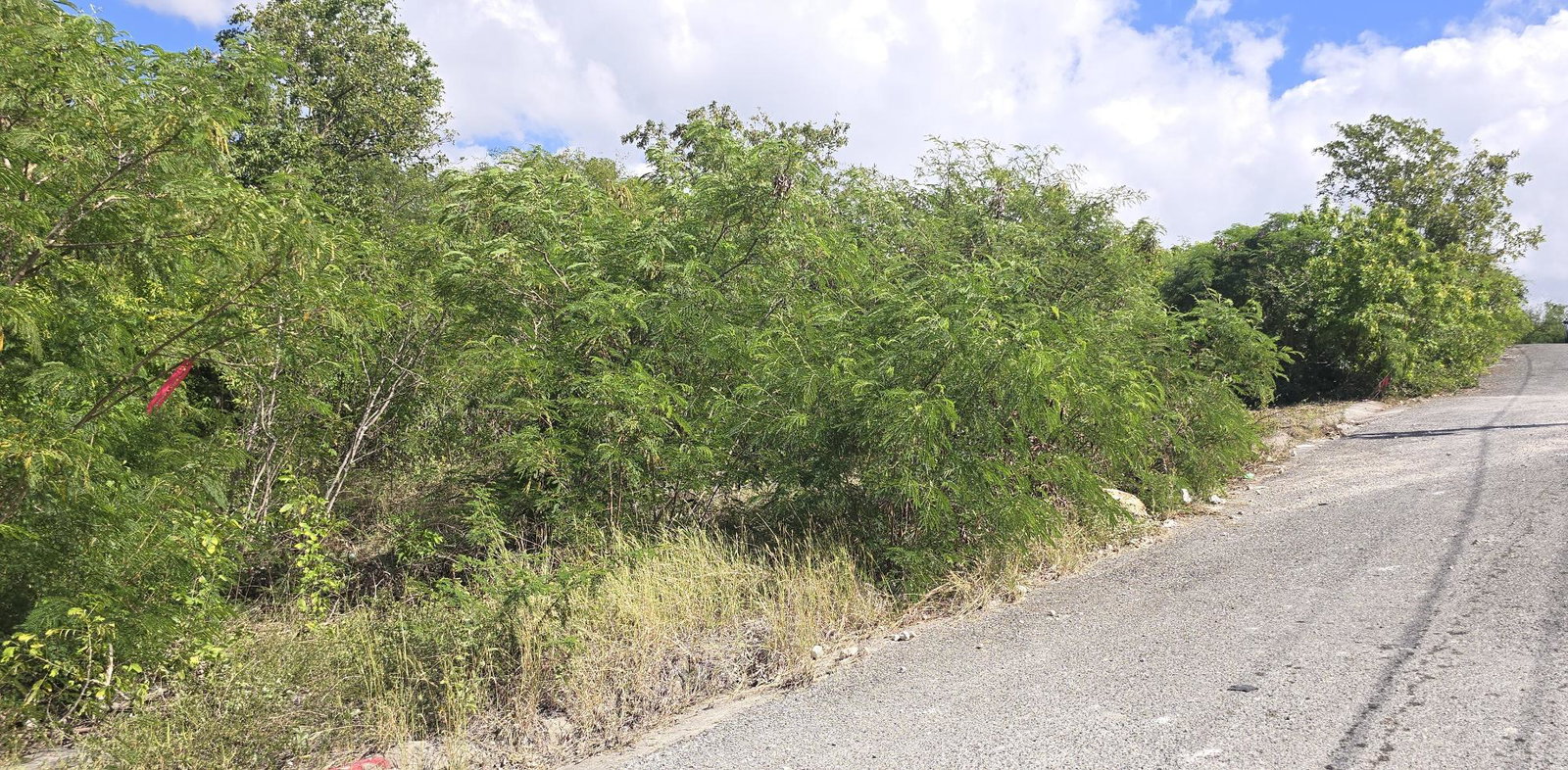 Ninth image of Lot 44 Mar Bella Estate in Bull Bay, St. Thomas, Jamaica - property is For Sale
