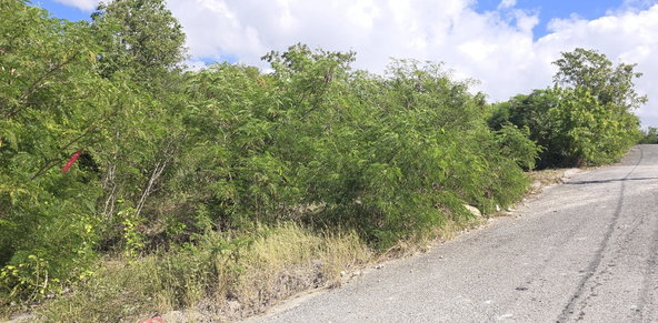 Ninth image of Lot 44 Mar Bella Estate in Bull Bay, St. Thomas, Jamaica - property is For Sale