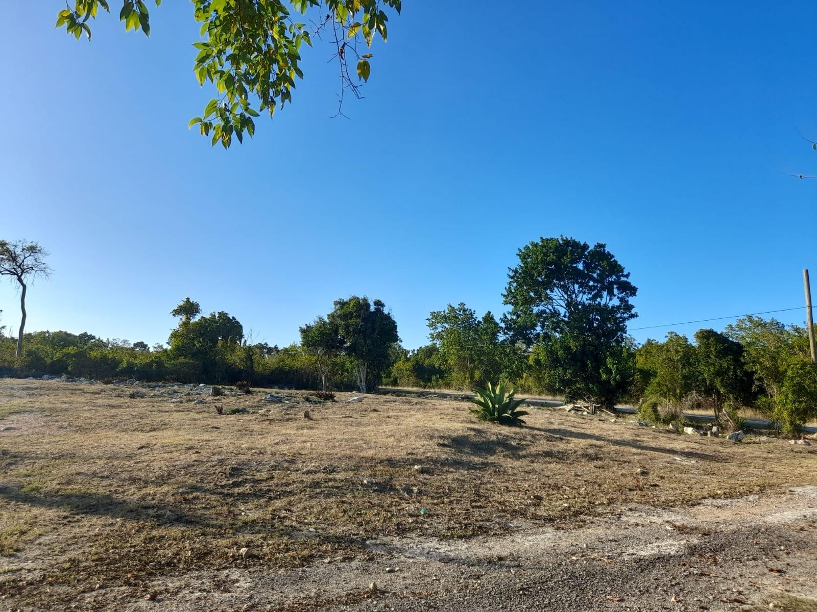 Fifth image of 448- Duncan Bay in DUNCAN BAY, Trelawny, Jamaica - property is For Sale