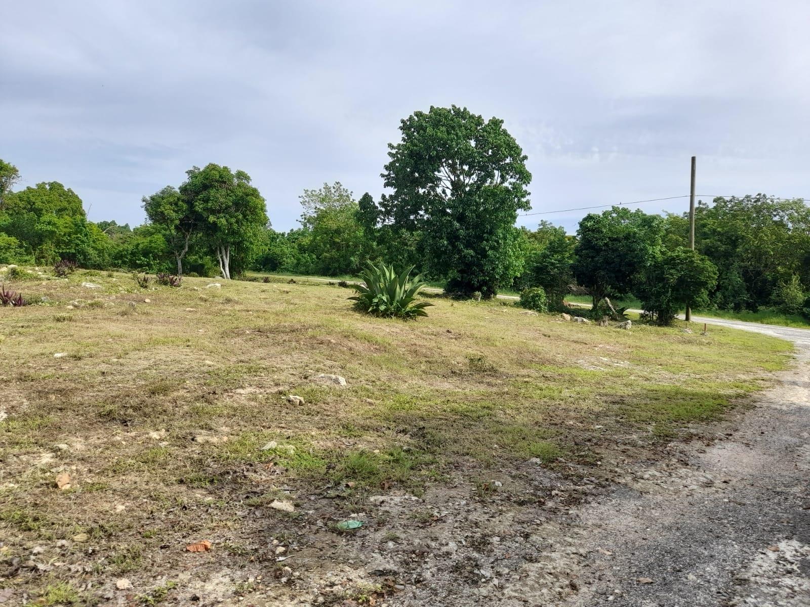 Sixth image of 448- Duncan Bay in DUNCAN BAY, Trelawny, Jamaica - property is For Sale