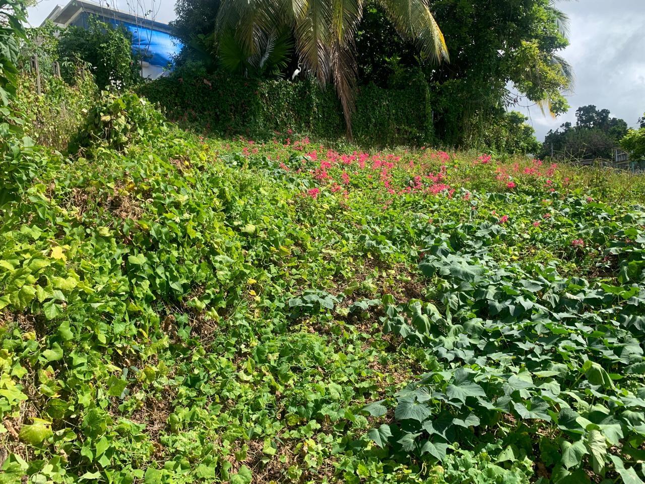 Sixth image of 120 Barnett View Gardens in Montego Bay, St. James, Jamaica - property is For Sale