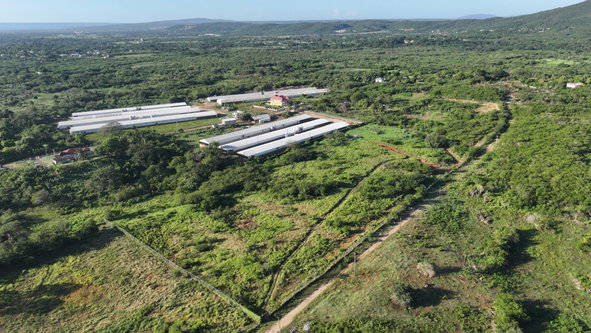 Sixth image of 7 Colbeck Old Harbour in Old Harbour, St. Catherine, Jamaica - property is For Sale