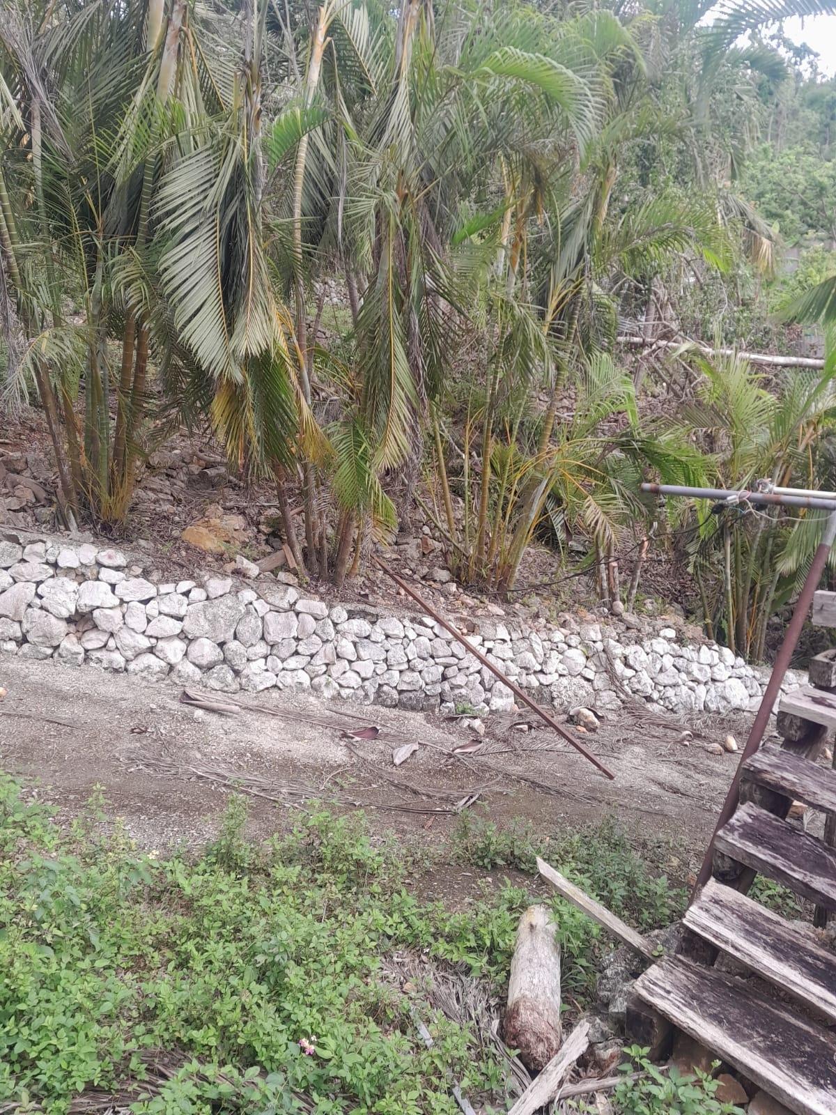 Third image of Hyde & Gibraltar, Clarks in Clarks Town, Trelawny, Jamaica - property is For Sale
